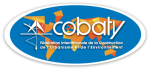 Cobaty