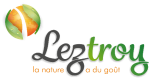 Leztroy